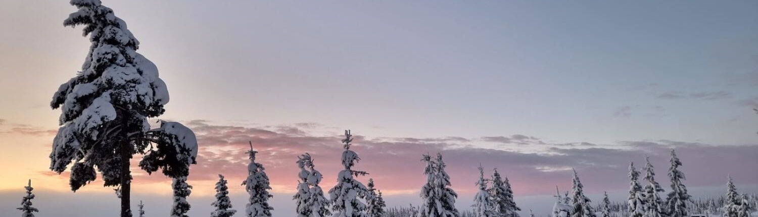 Foto-Ingebjørg-Skulason Vinter på Buvatn i Nes Østmark